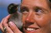 Foto:&nbsp;Staffan Widstrand